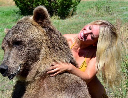 vanessa-rivers-bikini-grizzly-bear-2