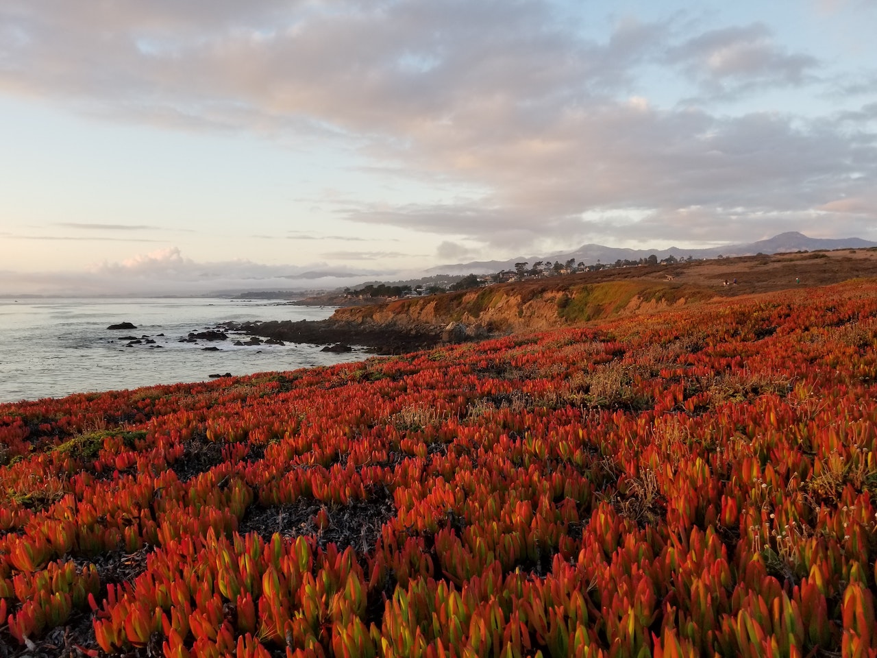 Cambia, United States